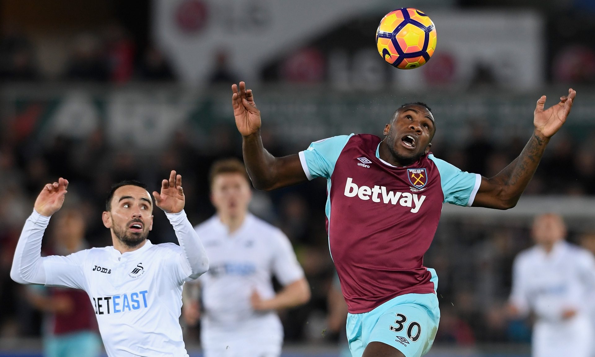 全面的了解 全面的了解